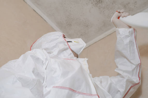 Best Crawl Space Mold Remediation in Barron, WI
