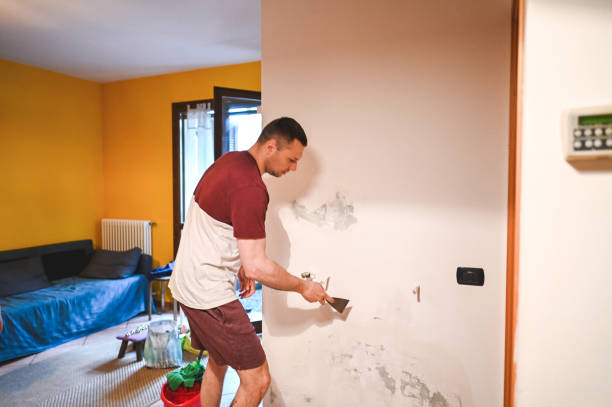 Best Mold Remediation for Specific Building Types in Barron, WI